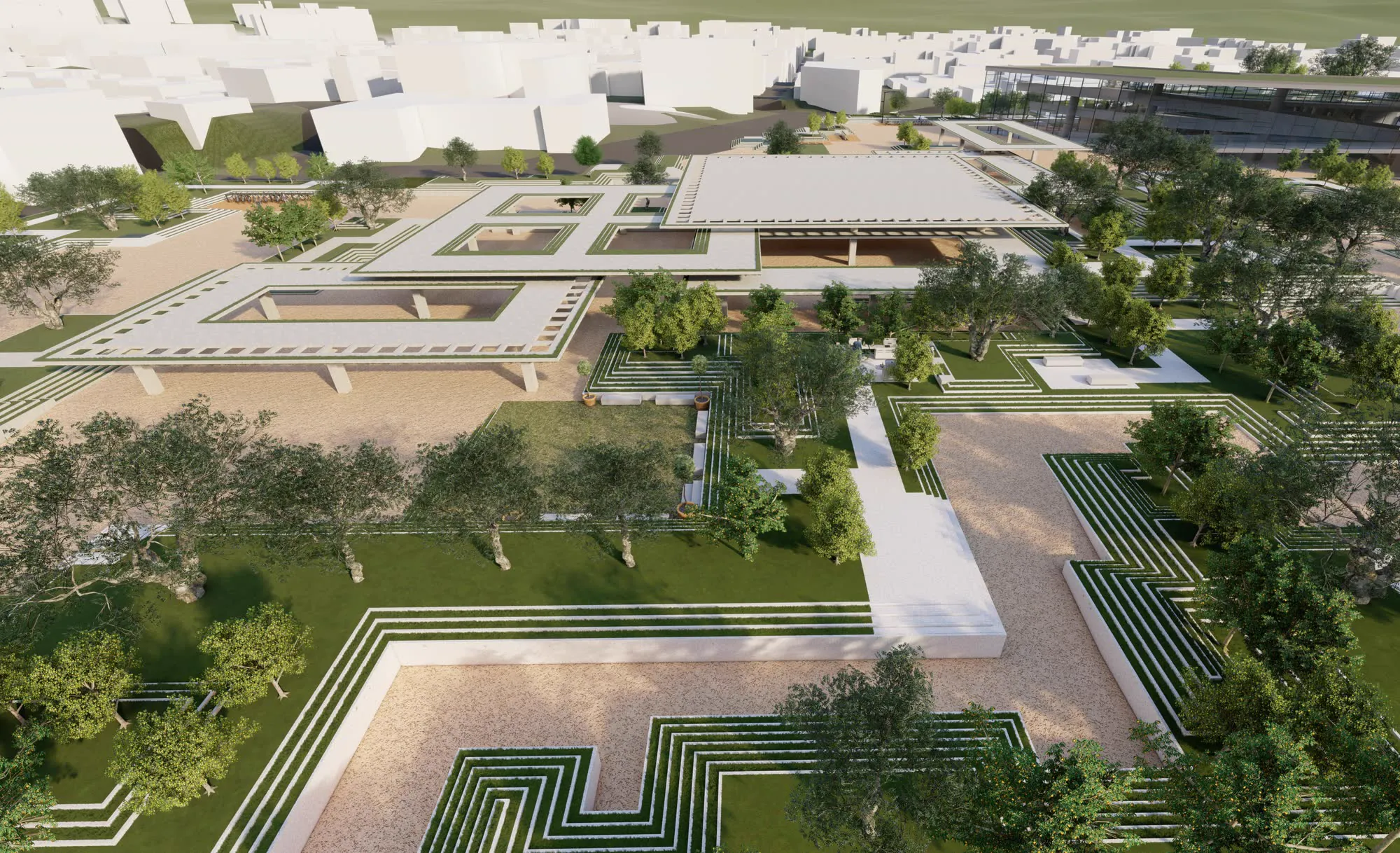 Render di uno spazio pubblico: giardino a terrazze con ulivi, percorsi in ghiaia e pensiline